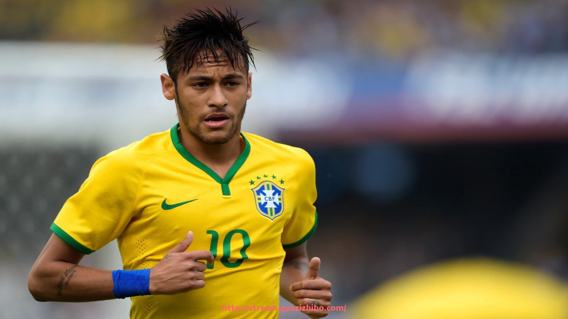 瓜子直播-健身器材进口商渠道结构与市场代理操作指南